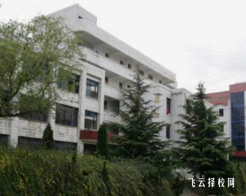 合江縣職業(yè)高級中學2024選什么專業(yè)好