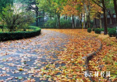 四川省電子商務(wù)學(xué)校2024選什么專(zhuān)業(yè)好