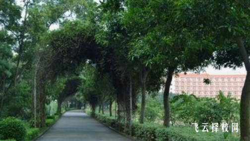 四川省甘孜衛(wèi)生學校2024選什么專業(yè)好