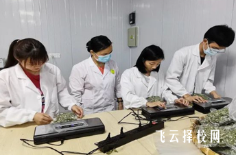 達州中醫藥職業學院哪個專業前景好