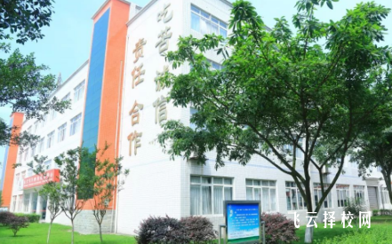 樂山市計算機學校哪個專業(yè)前景好