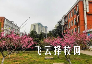 冕寧縣職業技術學校哪個專業前景好