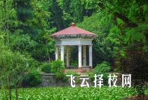 沐川縣中等職業(yè)學(xué)校哪個專業(yè)前景好