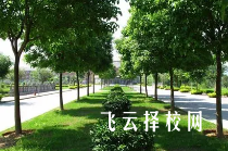 沐川縣中等職業(yè)學(xué)校哪個專業(yè)前景好