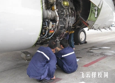 廣安市景山職業高中學校哪個專業前景好