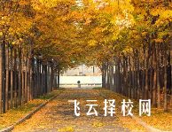 內(nèi)江市川威技工學(xué)校哪個(gè)專業(yè)前景好