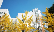 內江市高級技工學校哪個專業前景好