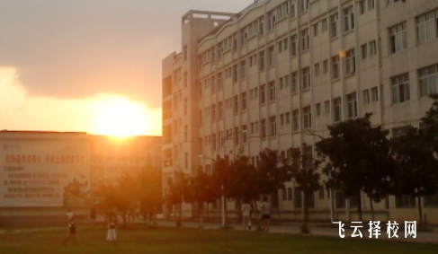 綿陽農業學校什么專業好就業