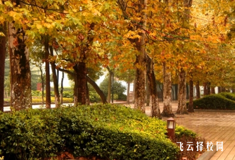 南充中等專業(yè)學(xué)校什么專業(yè)好就業(yè)