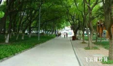 四川省平武縣職業高級中學什么專業好就業