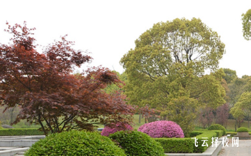 四川省蒲江縣職業(yè)中學(xué)什么專業(yè)好就業(yè)