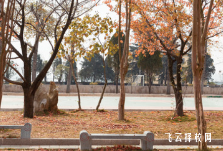 四川省青川縣職業高級中學什么專業好就業