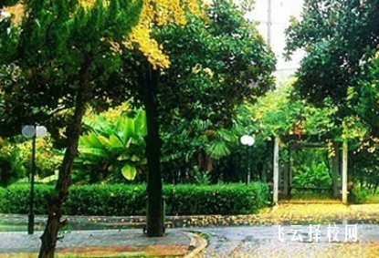 四川省榮縣職業(yè)高級中學什么專業(yè)好就業(yè)