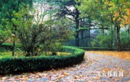 四川省商貿學校什么專業好就業