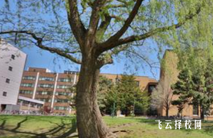 四川省商務學校什么專業好就業