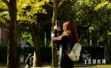 四川省威州民族師范學校什么專業好就業