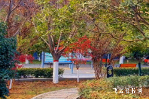 四川省武勝職業中專學校什么專業好就業