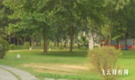 四川省興文縣職業技術學校什么專業好就業