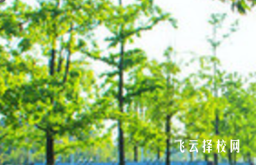 四川省敘永縣職業高級中學什么專業好就業