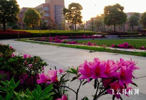 四川省鹽亭縣職業技術學校什么專業好就業