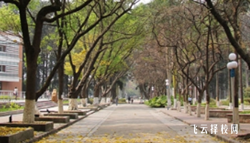 四川省鹽業學校什么專業好就業