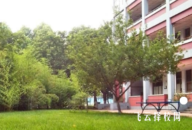 四川省宜賓衛生學校什么專業好就業