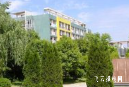 四川省彝文學校什么專業好就業