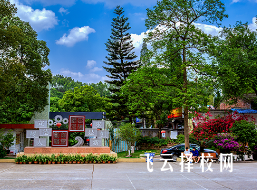 內江市求是職業技術學校2024招生簡章