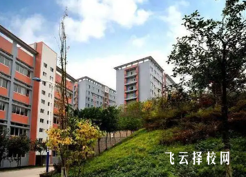 綿竹市職業(yè)中專(zhuān)學(xué)校2024招生簡(jiǎn)章