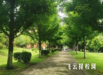 古藺縣大村職業中學校2024招生簡章