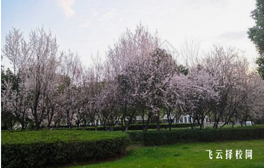 遂寧市安居職業高級中學2024招生簡章