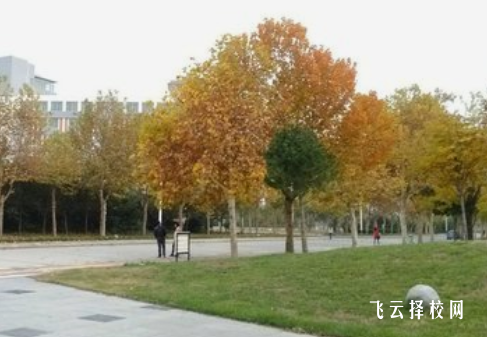 遂寧應用高級技工學校2024招生簡章