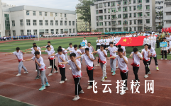 宜賓市柳嘉職業(yè)技術(shù)學(xué)校2024招生簡章