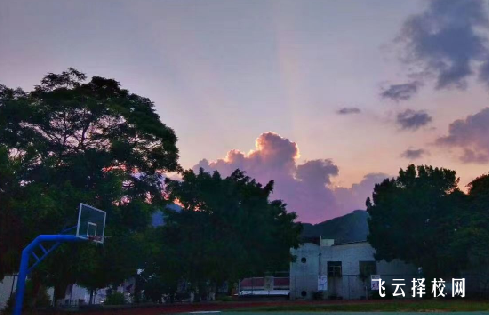 成都市現代制造職業技術學校2024招生簡章