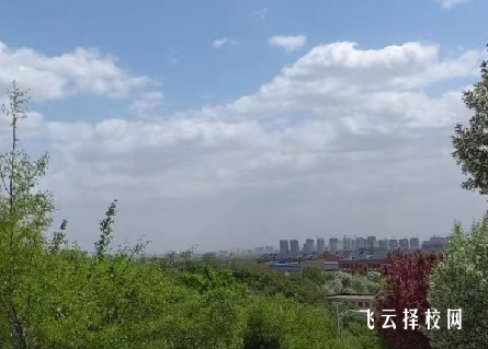 成都市新津區(qū)職業(yè)高級中學(xué)2024招生簡章