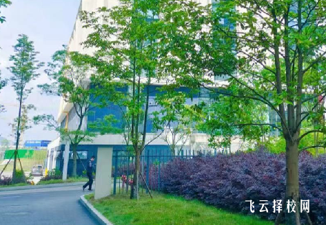 成都新東方高級技工學校2024招生簡章