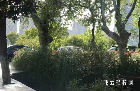 成都新高技工學(xué)校2024招生簡章