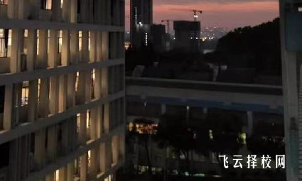 成都新運職業學校2024招生簡章