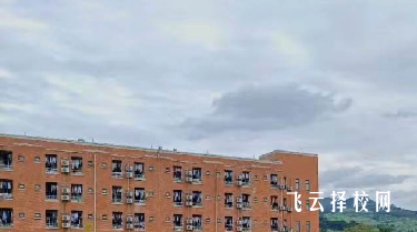 成都職業技術學校2024招生簡章