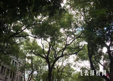 成都職業技術學校2024招生簡章