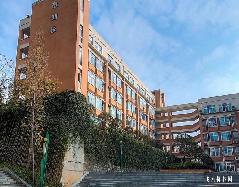 四川省電子商務(wù)學(xué)校2024招生簡章