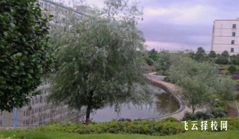 四川托普計算機職業學校2024招生簡章