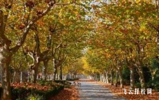 四川衛生康復職業學院2024招生簡章