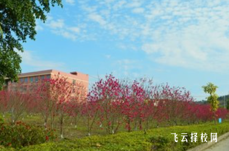 四川藝術職業學院2024招生簡章