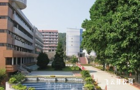 四川幼兒師范高等專科學(xué)校2024招生簡章