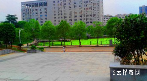 四川育英醫養科技技工學校2024招生簡章