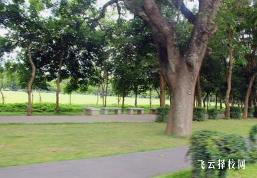 四川自貢市高級(jí)技工學(xué)校2024招生簡章