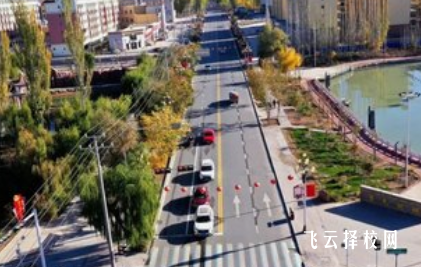 初中的中考成績怎么查