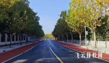 初中的中考成績怎么查