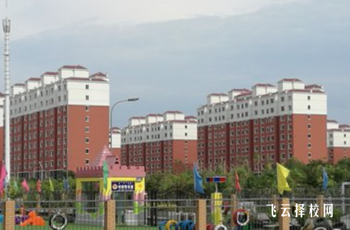 初中體育考試是初二還是初三